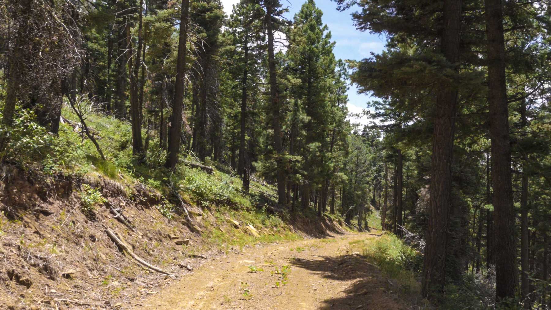 Quinlan Ranch property picture 70 of 115