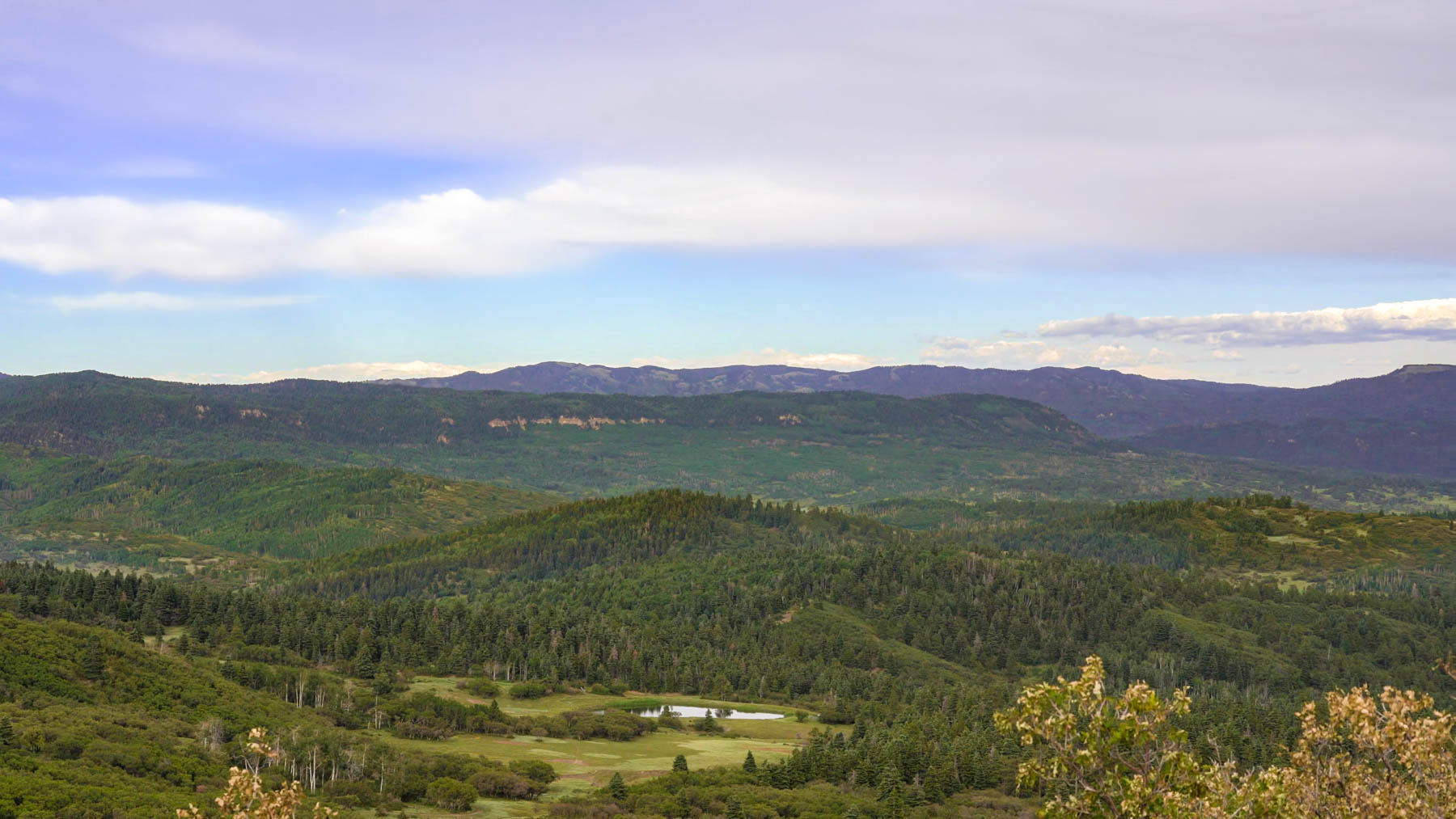 Quinlan Ranch property picture 45 of 115