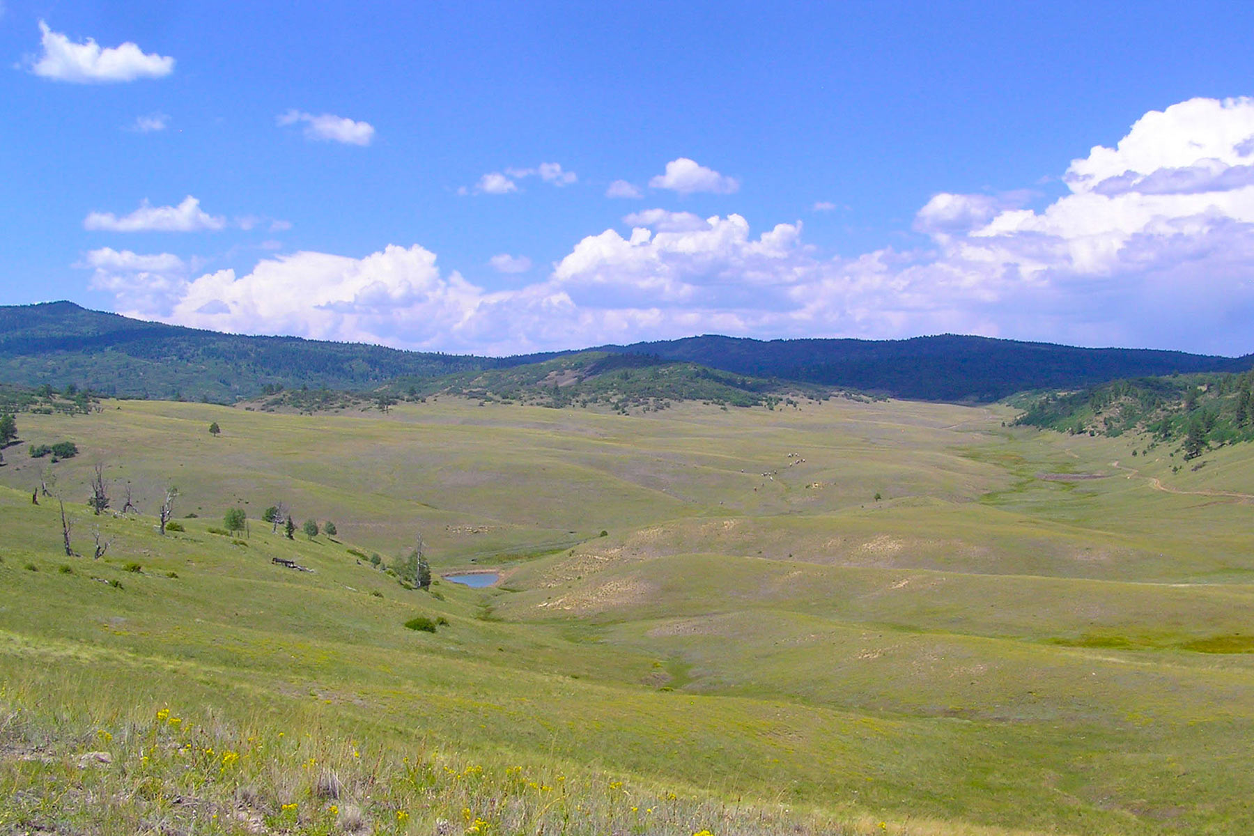 Quinlan Ranch property picture 10 of 115