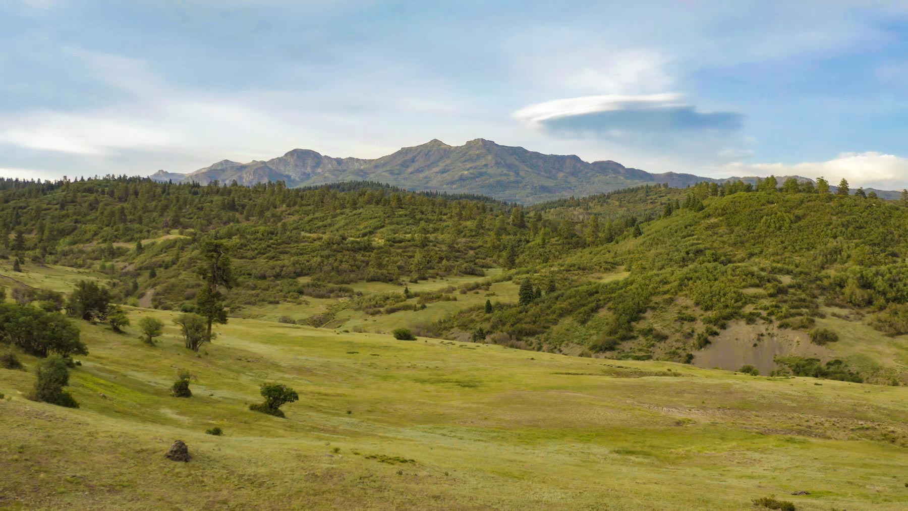 Quinlan Ranch property picture 41 of 115