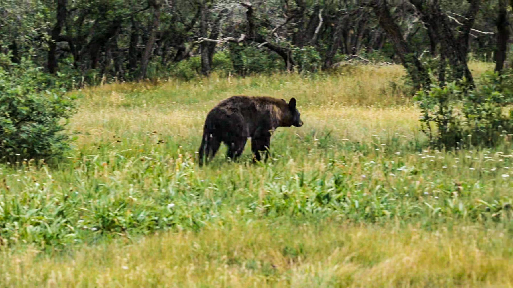 Quinlan Ranch property picture 26 of 115