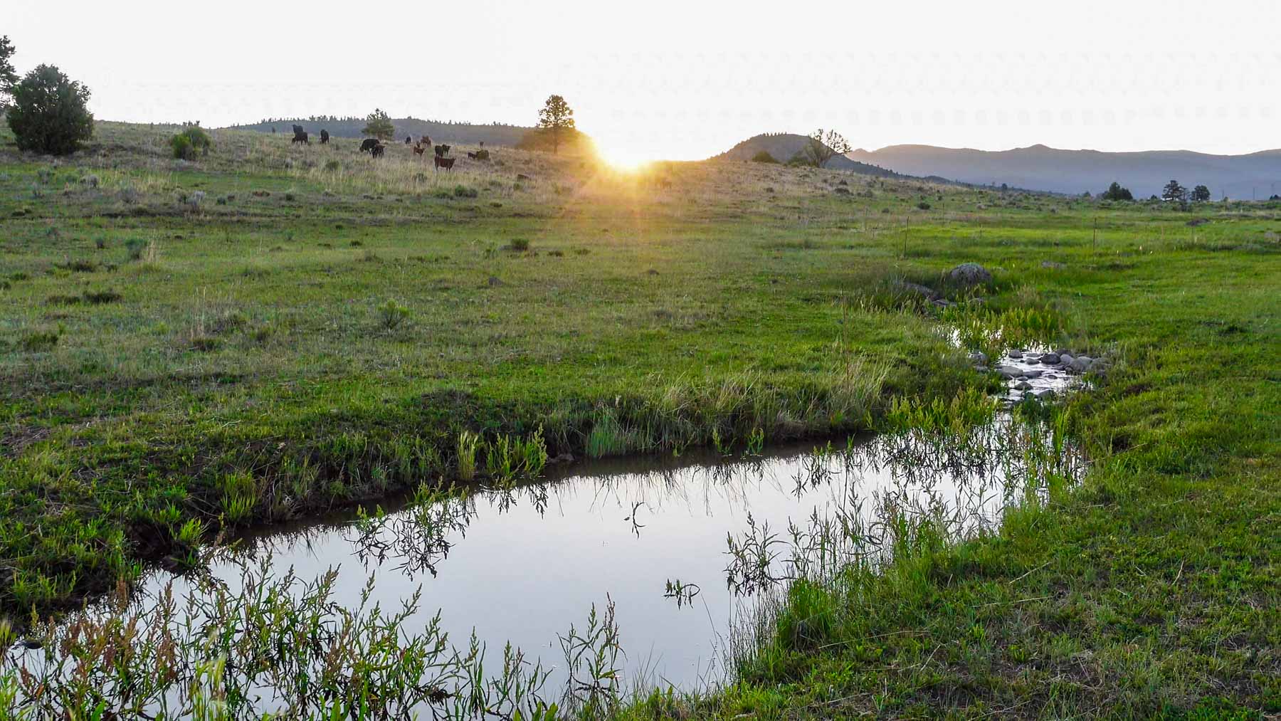 Quinlan Ranch property picture 81 of 115