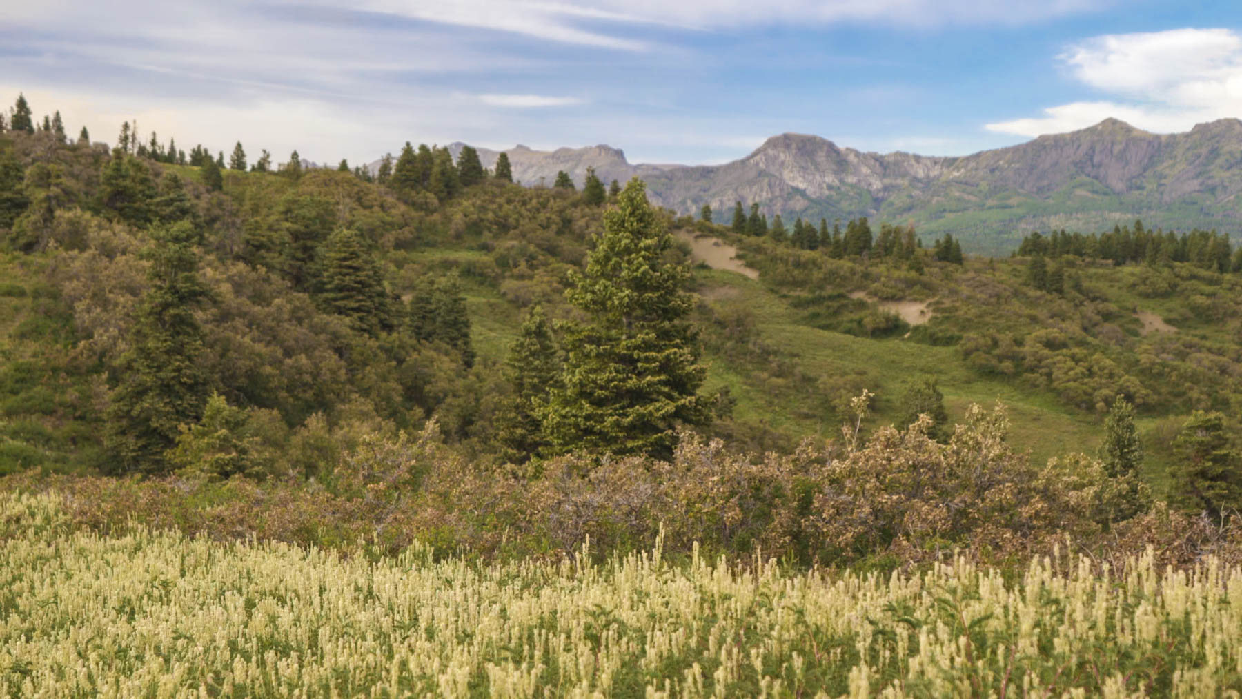 Quinlan Ranch property picture 47 of 115