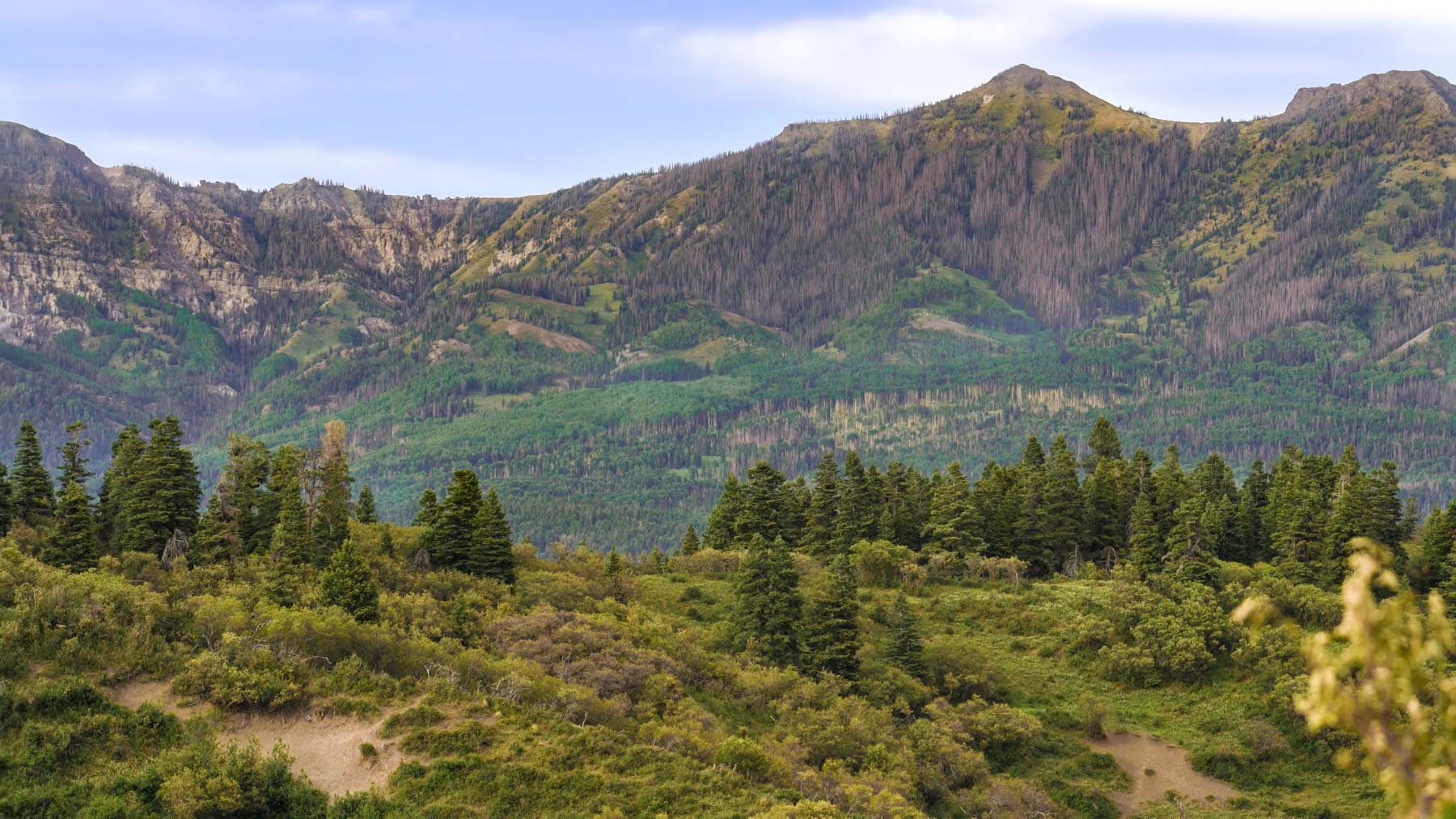 Quinlan Ranch property picture 46 of 115