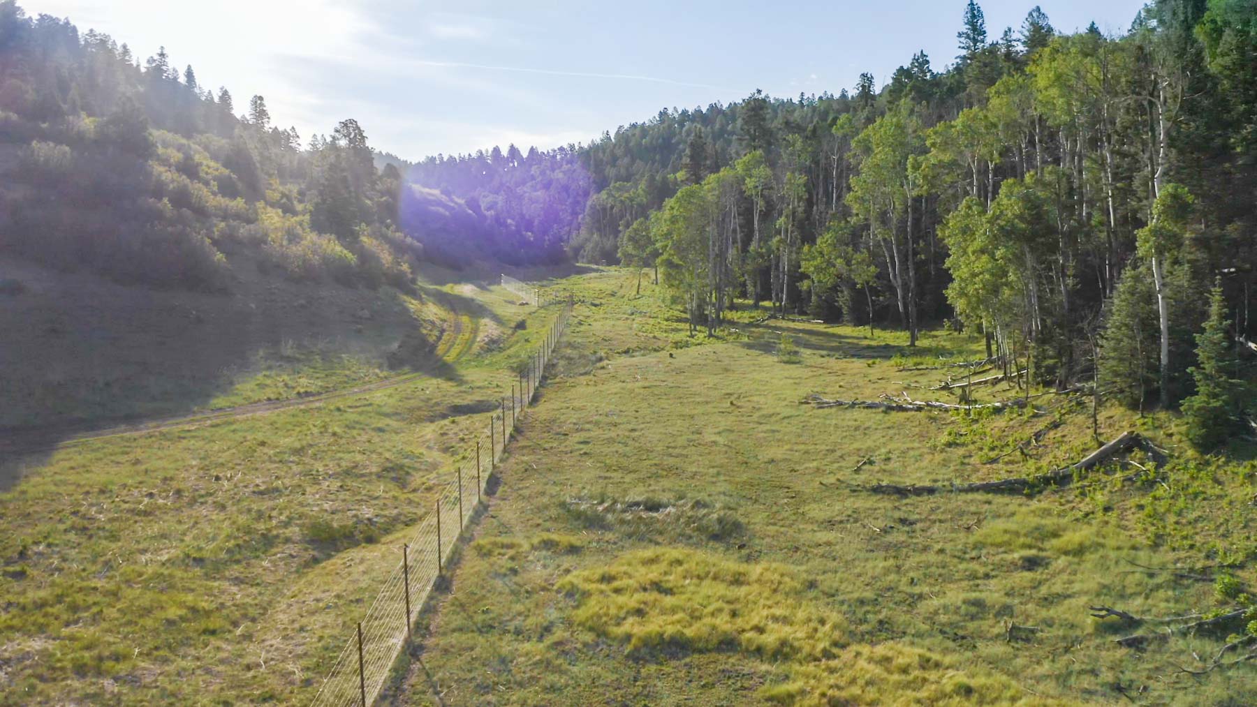 Quinlan Ranch property picture 78 of 115