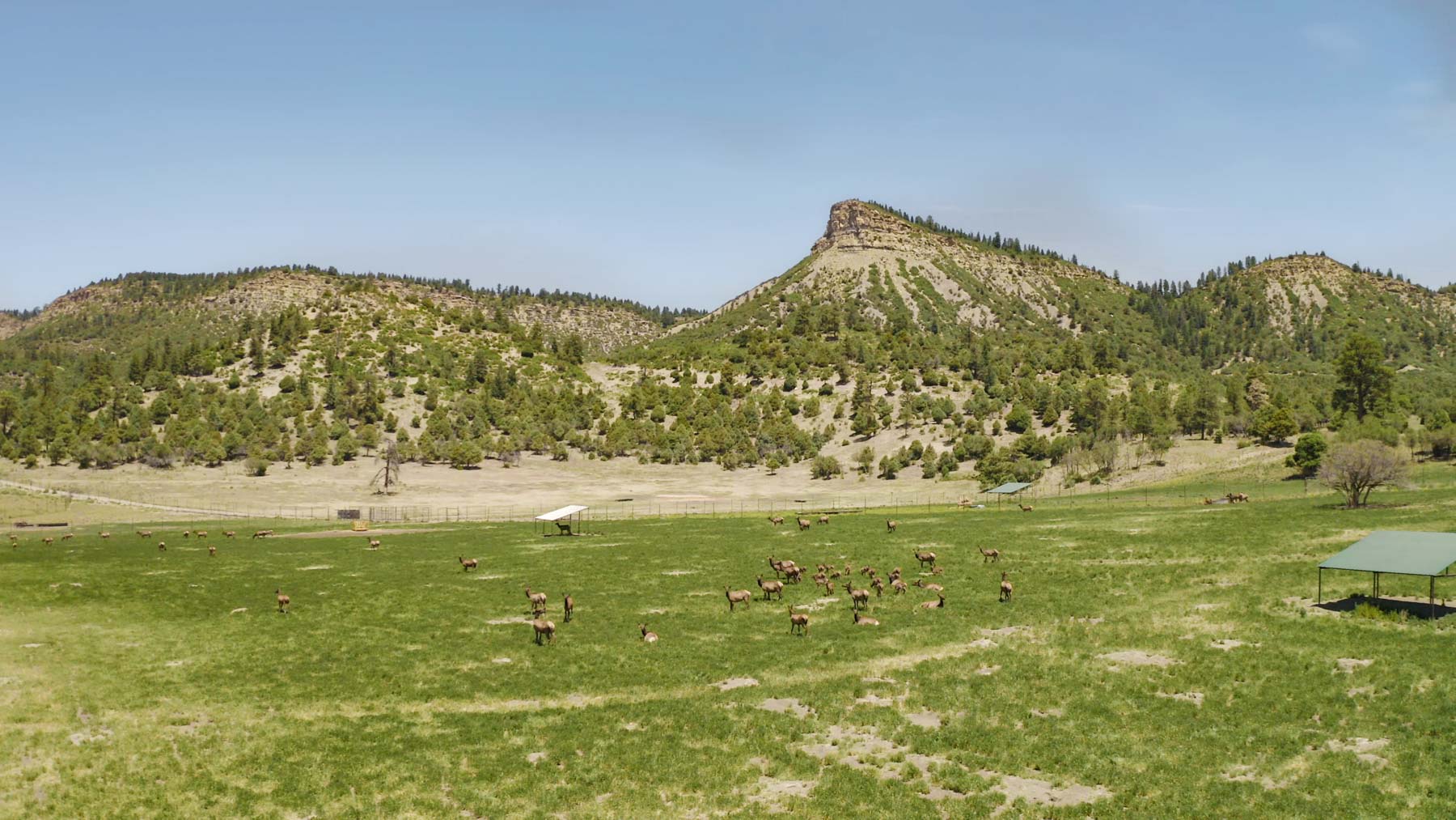 Quinlan Ranch - Sold - New Mexico - Hall and Hall