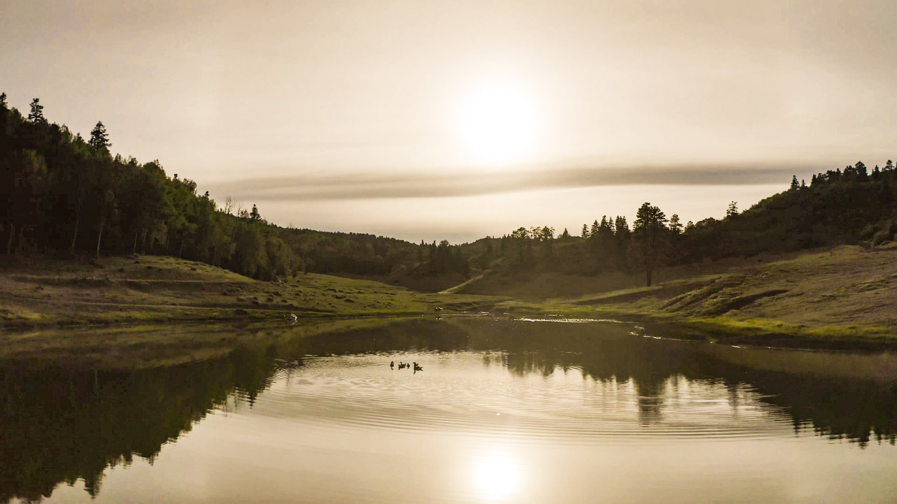 Quinlan Ranch property picture 36 of 115