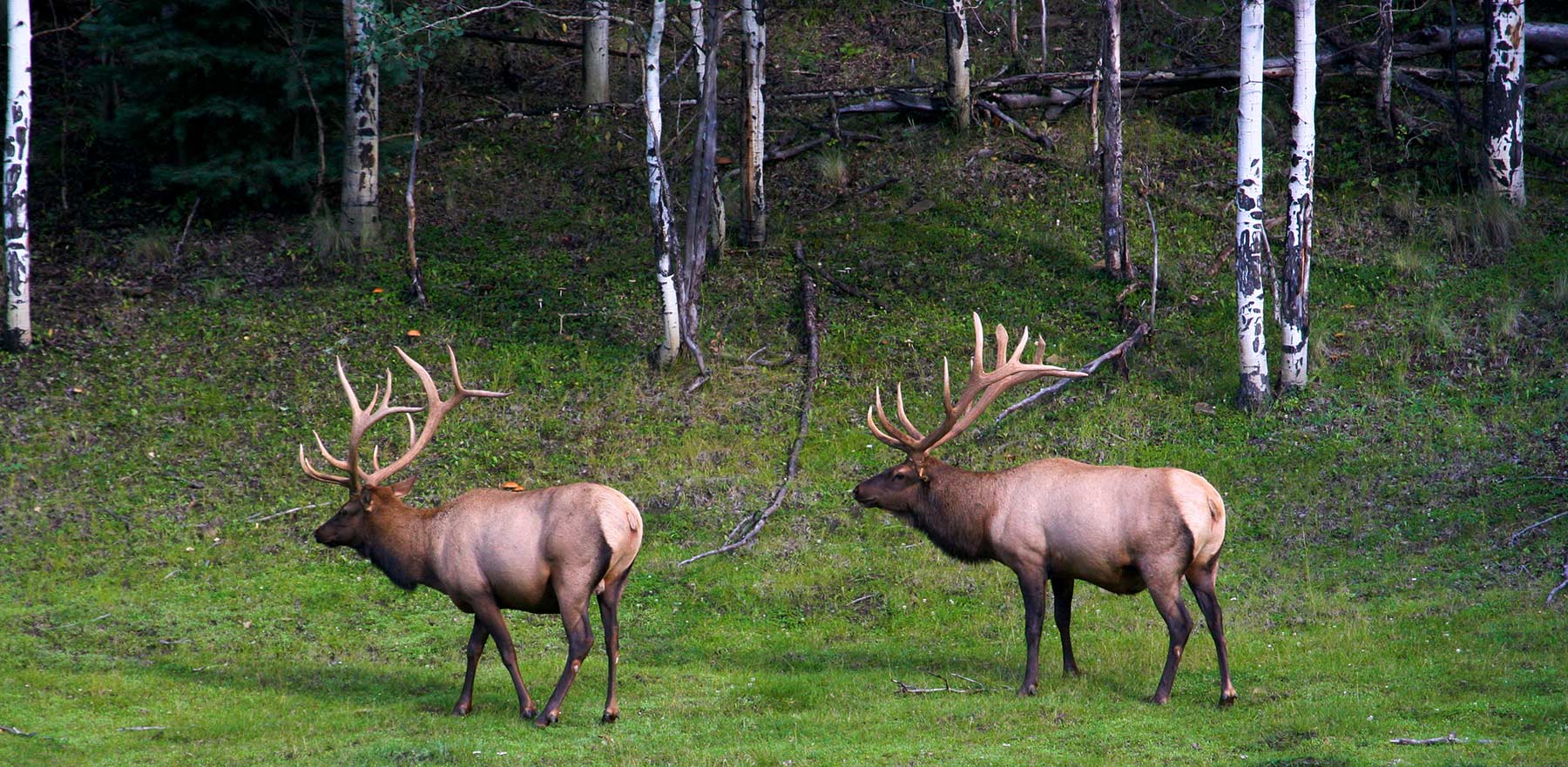 Quinlan Ranch property picture 3 of 115