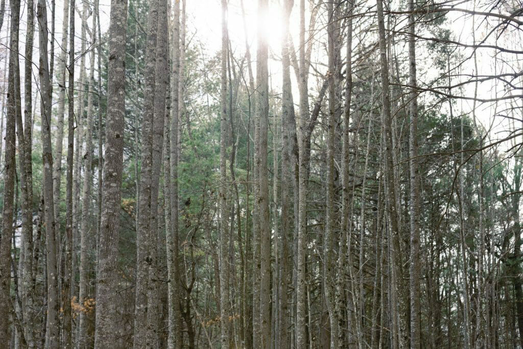 RiverStone Ranch property picture 56 of 104