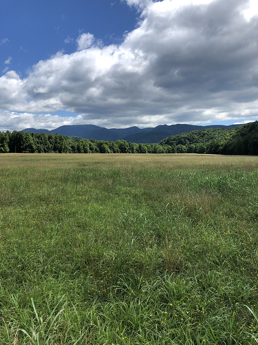 RiverStone Ranch property picture 89 of 104