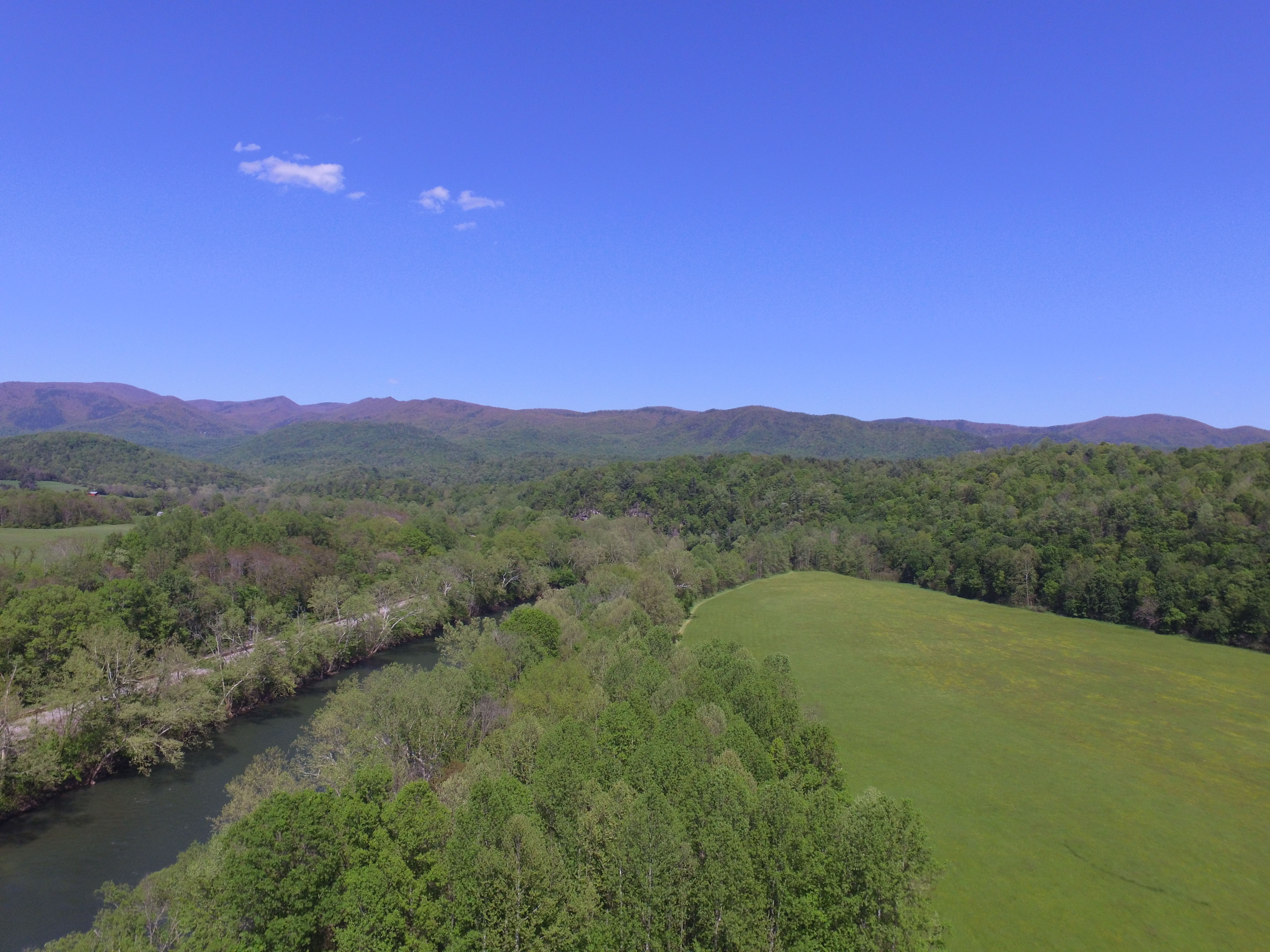 RiverStone Ranch Past Auction Virginia Hall and Hall
