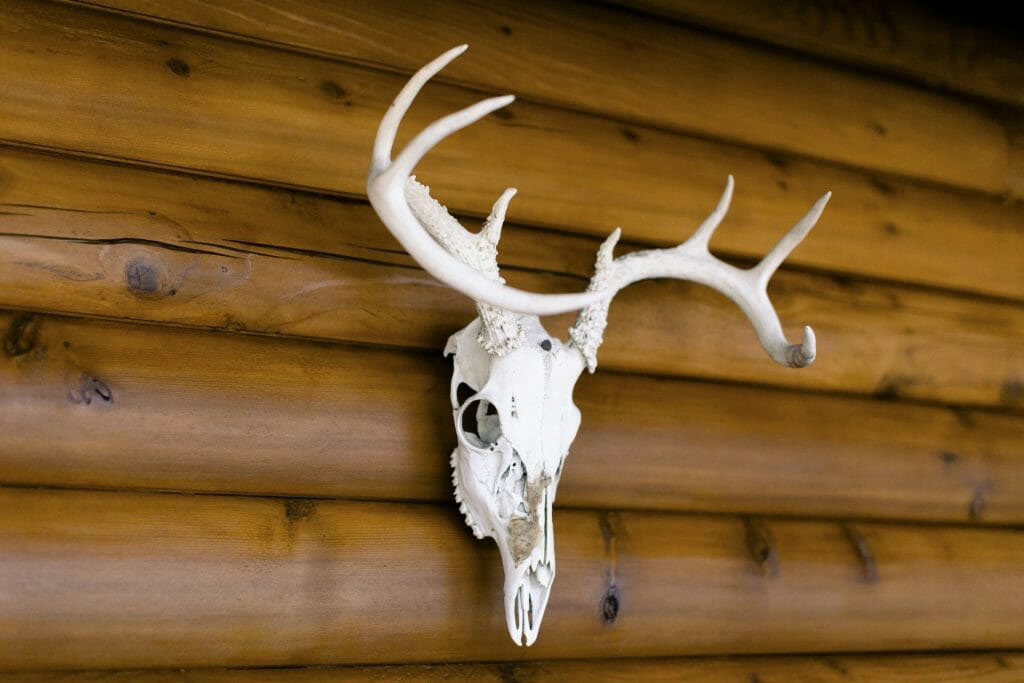 RiverStone Ranch property picture 41 of 104