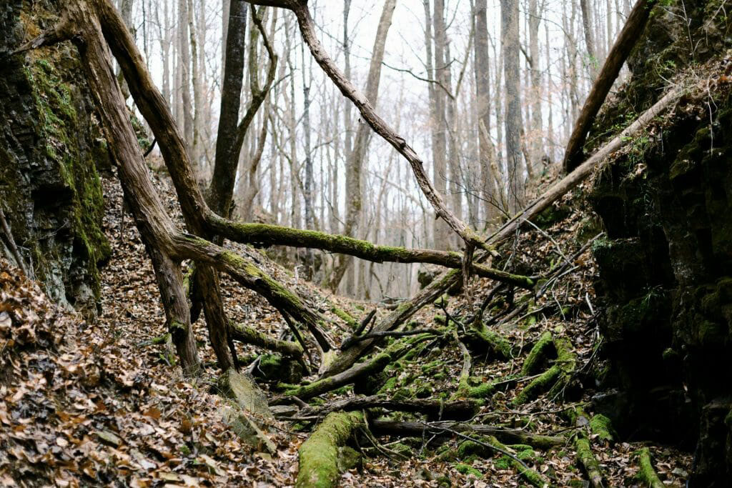 RiverStone Ranch property picture 86 of 104