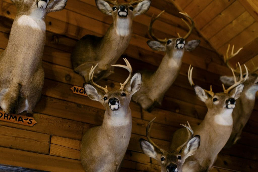 RiverStone Ranch property picture 32 of 104