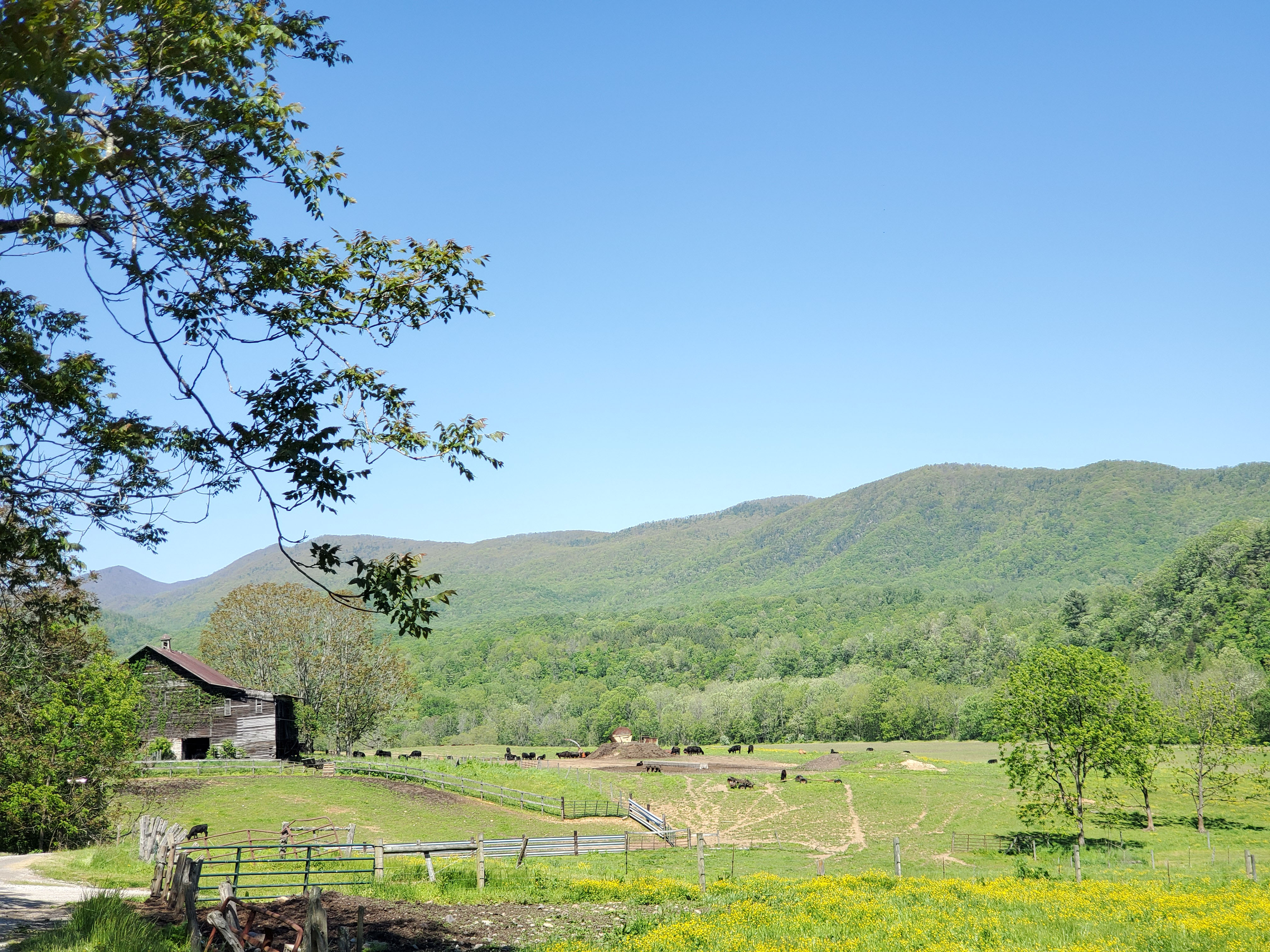 RiverStone Ranch property picture 6 of 104