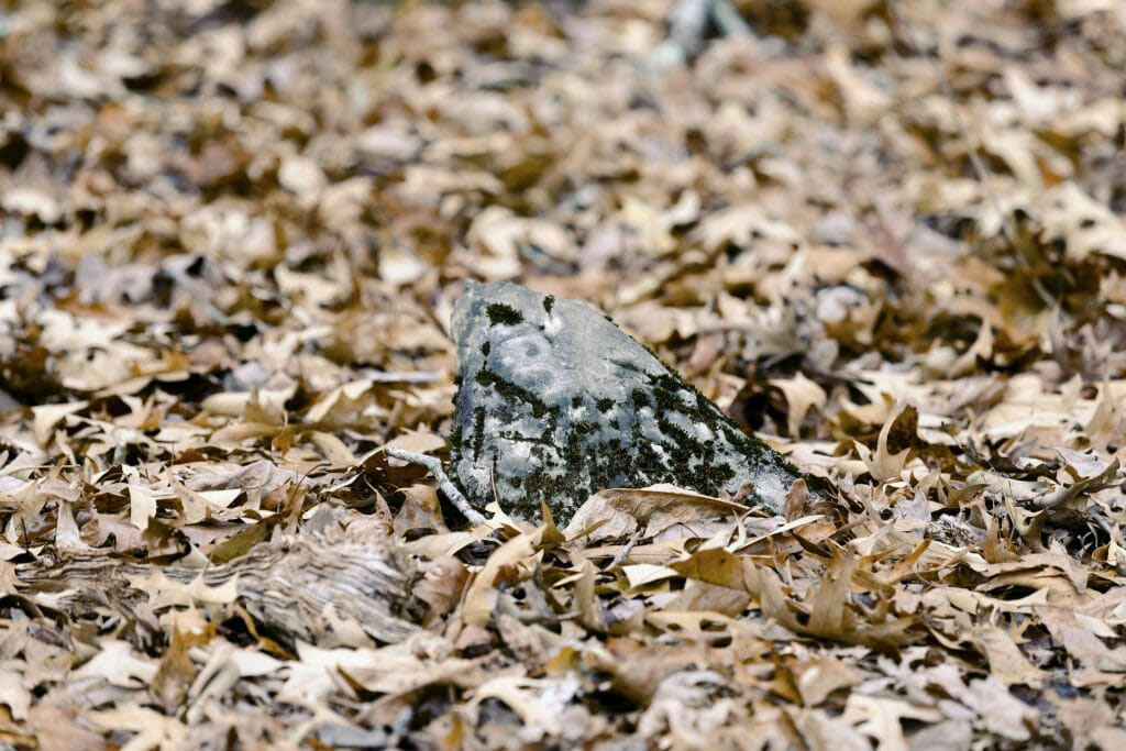 RiverStone Ranch property picture 55 of 104