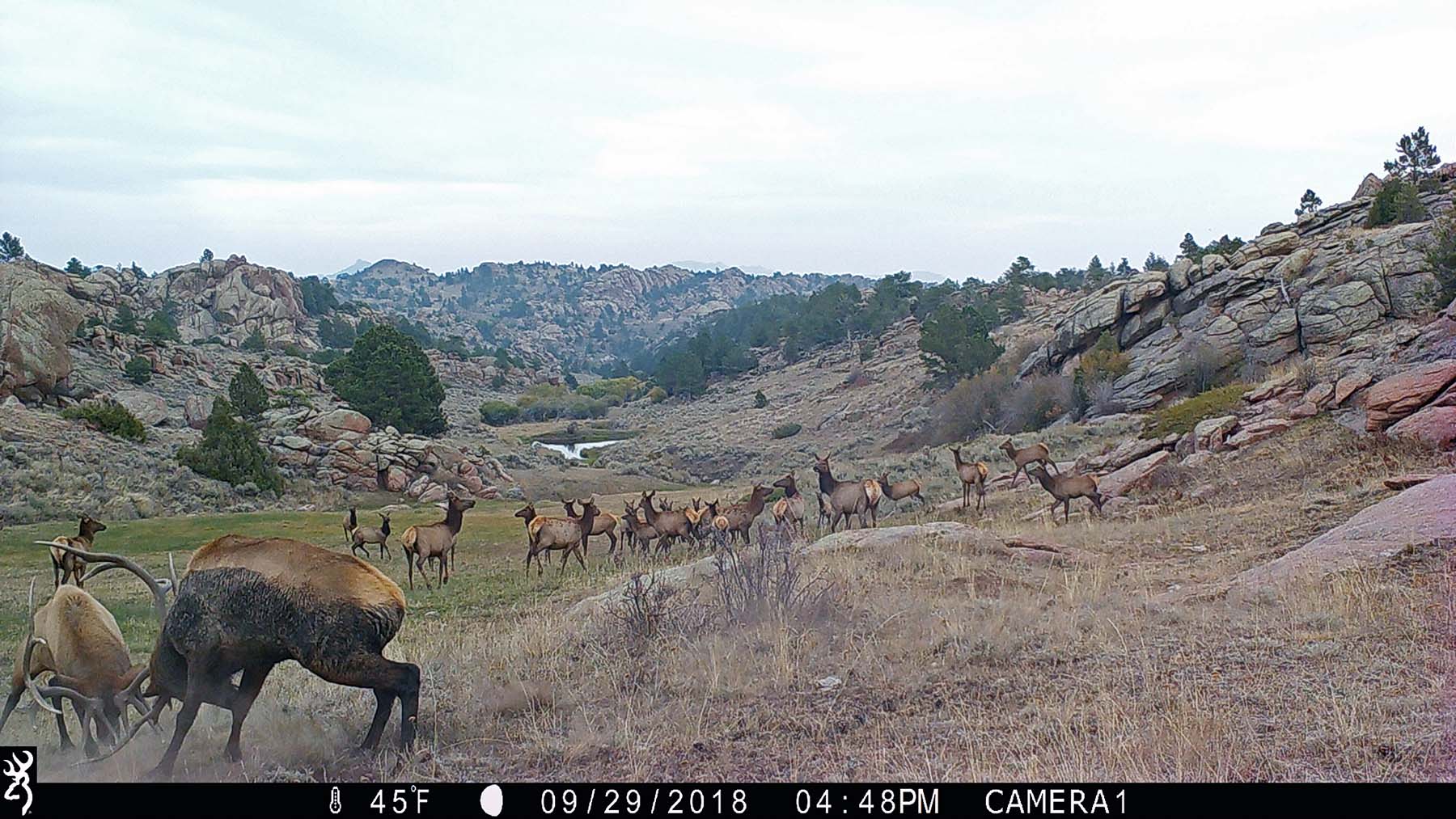 Thunder River Ranch property picture 32 of 51