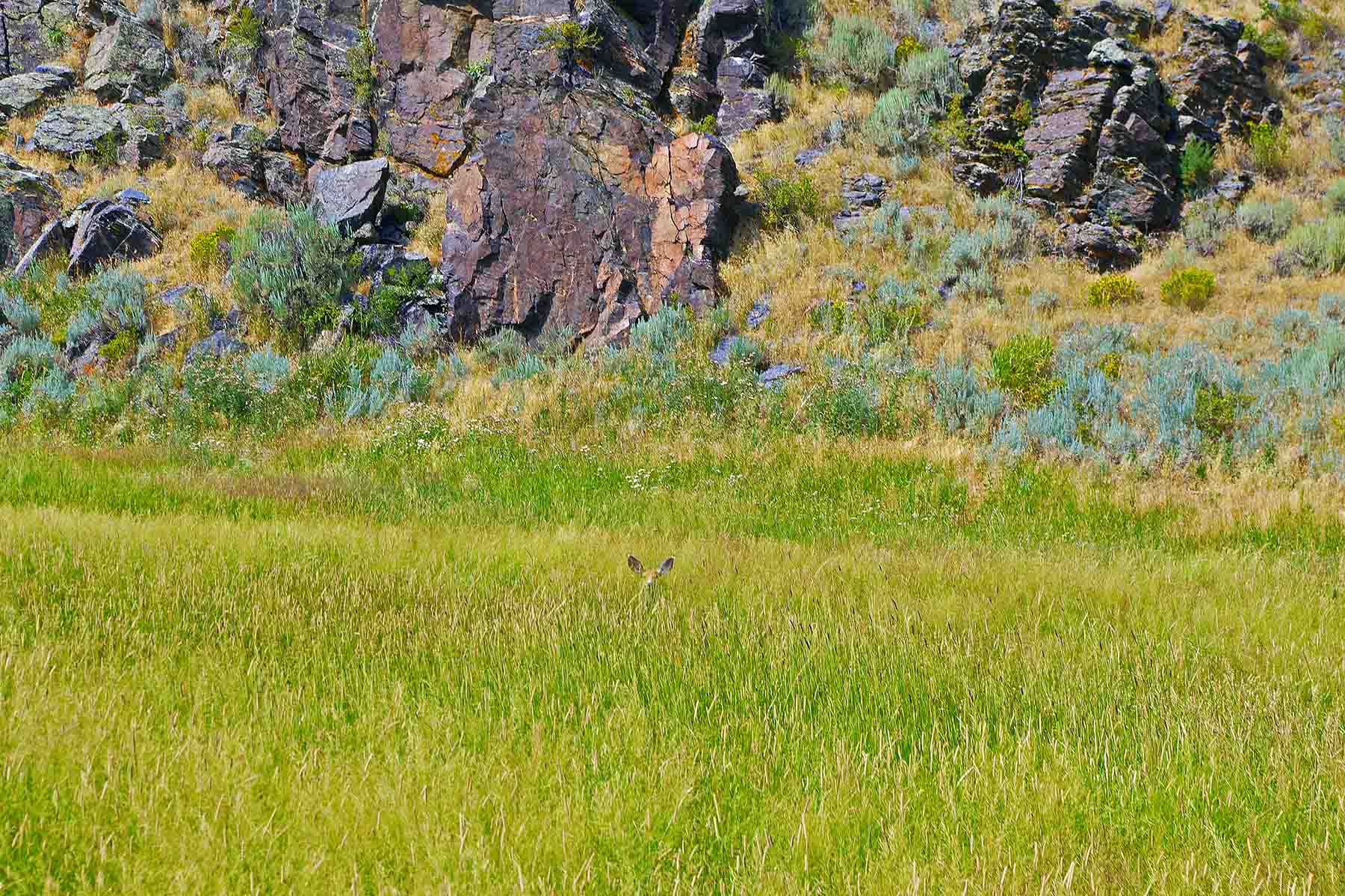 Thunder River Ranch property picture 36 of 51