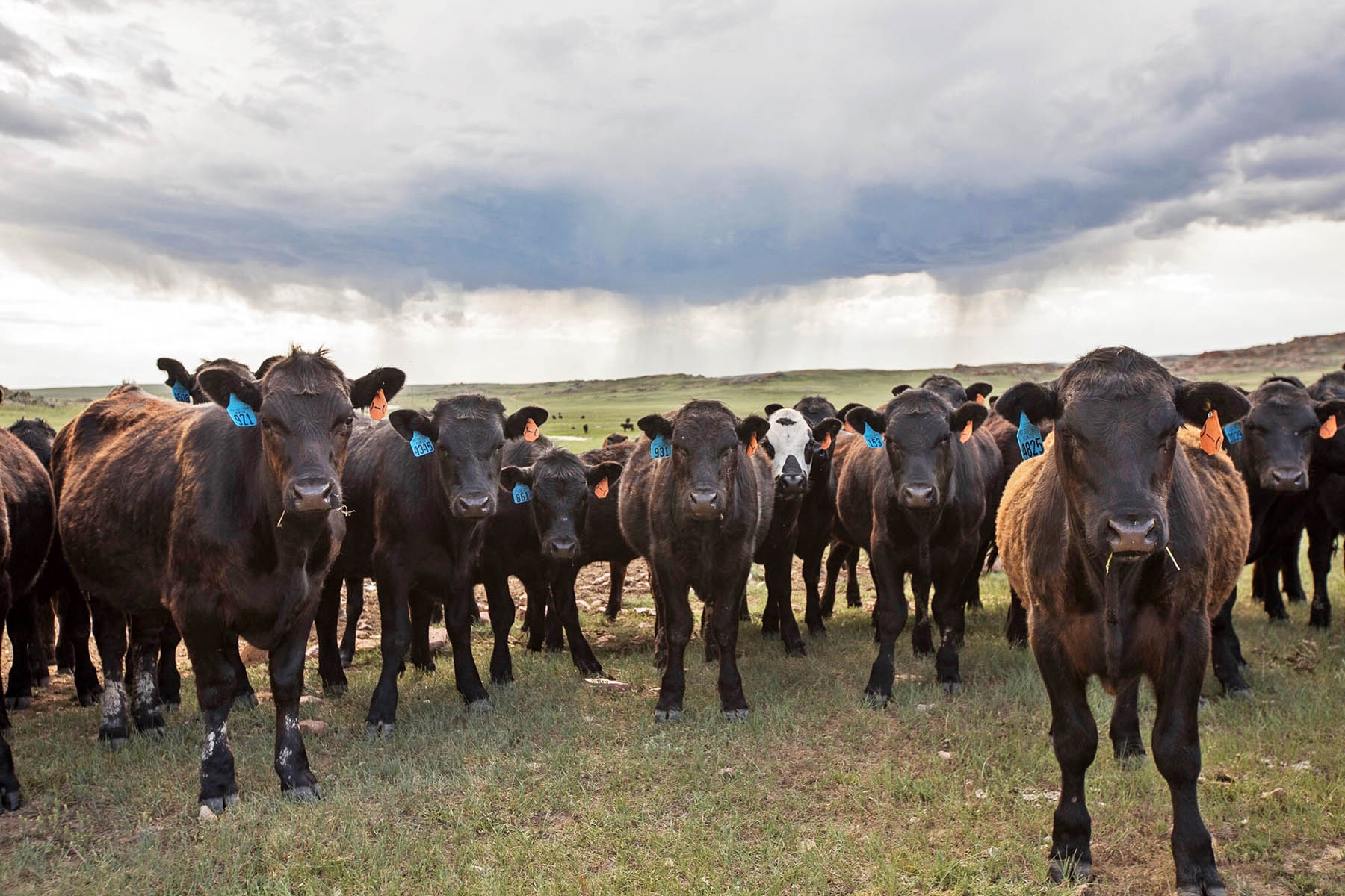 Thunder River Ranch property picture 17 of 51
