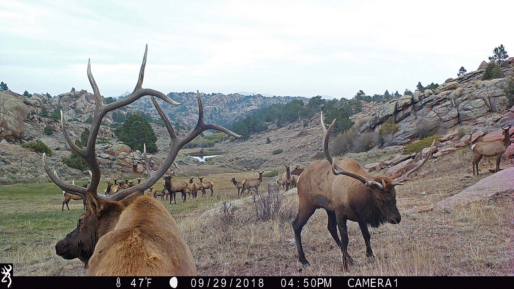 Thunder River Ranch property picture 31 of 51
