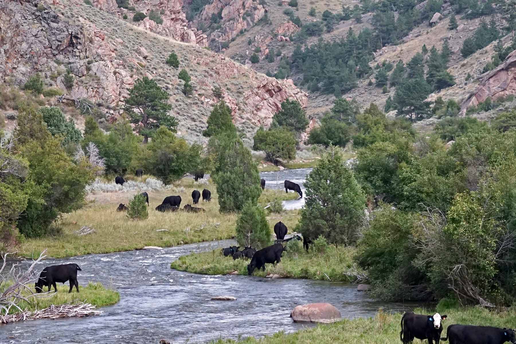 Thunder River Ranch property picture 29 of 51