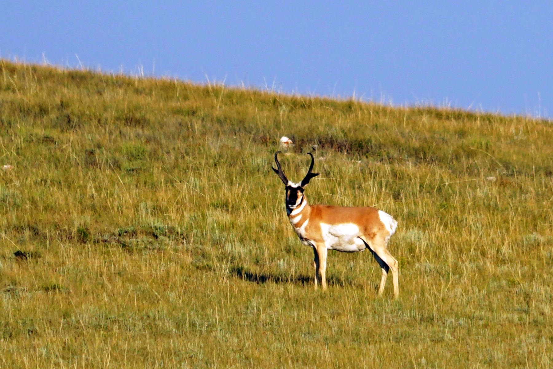 Thunder River Ranch property picture 37 of 51