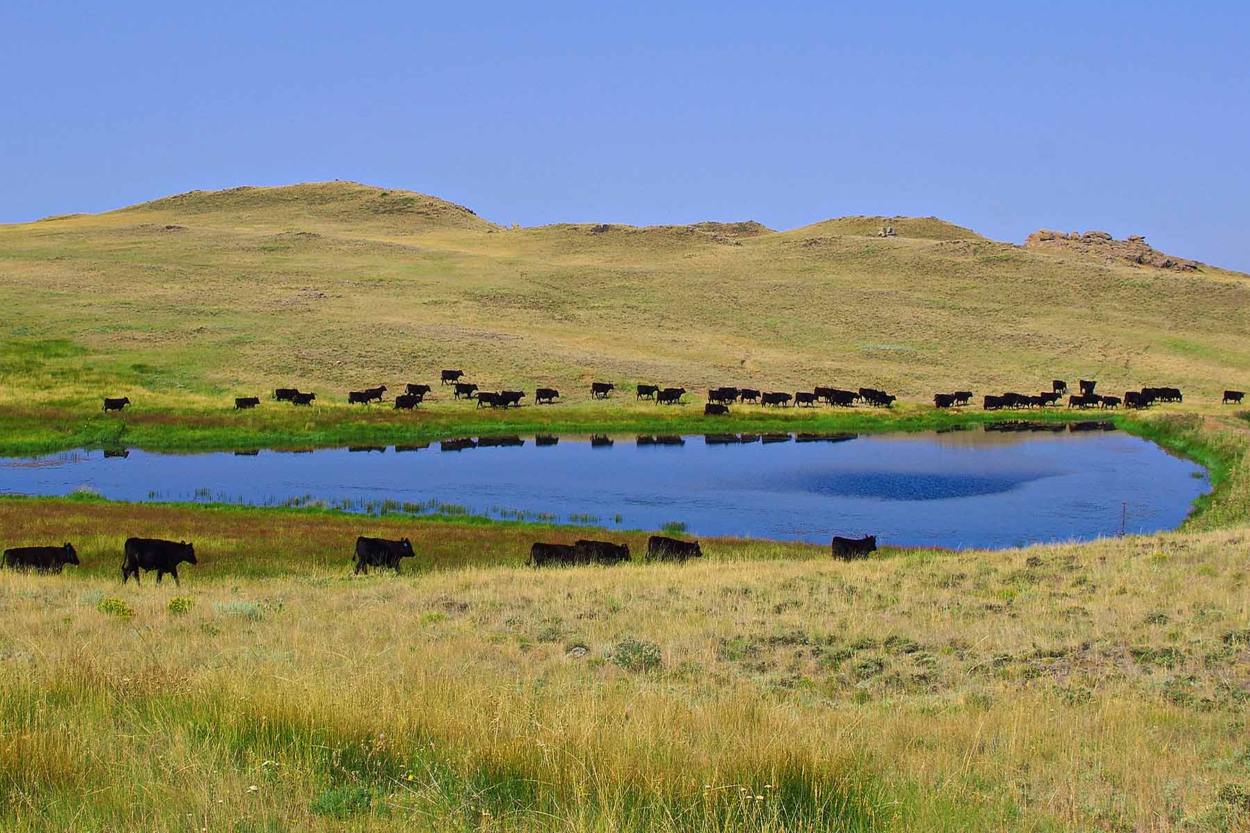 Thunder River Ranch property picture 11 of 51