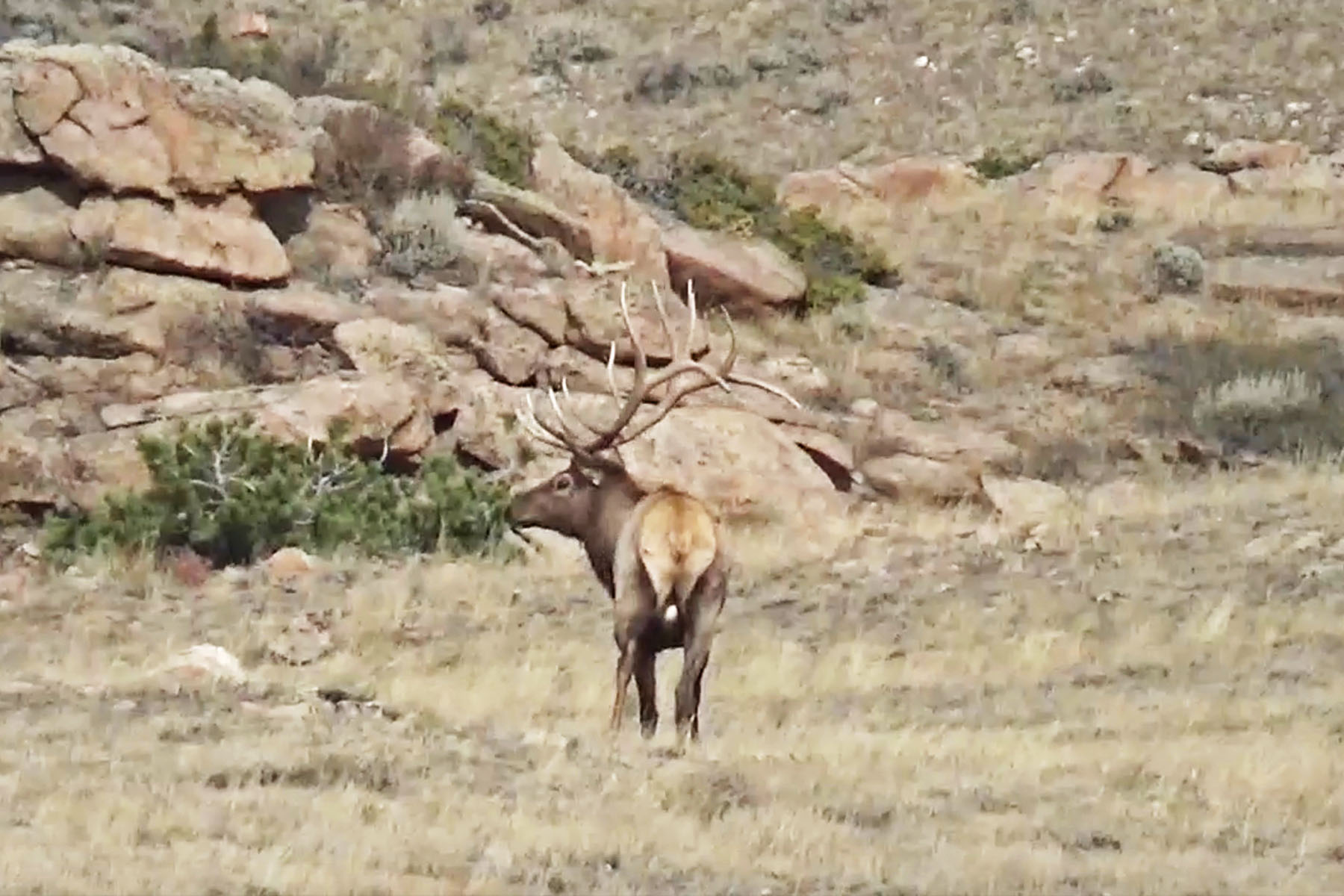 Thunder River Ranch property picture 3 of 51