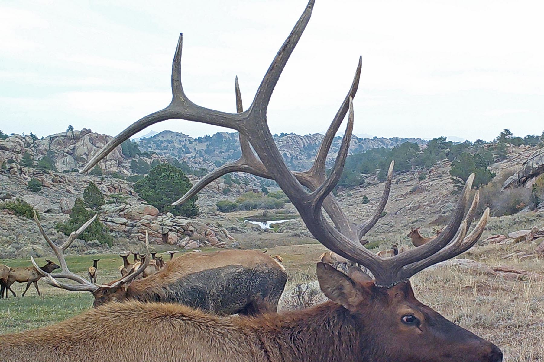 Thunder River Ranch property picture 6 of 51
