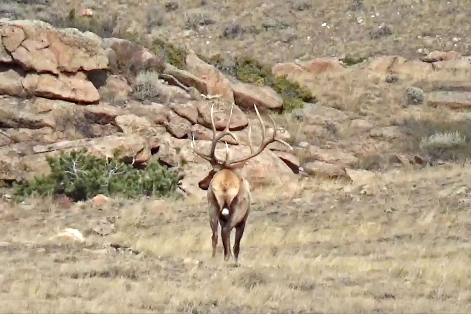 Thunder River Ranch property picture 40 of 51