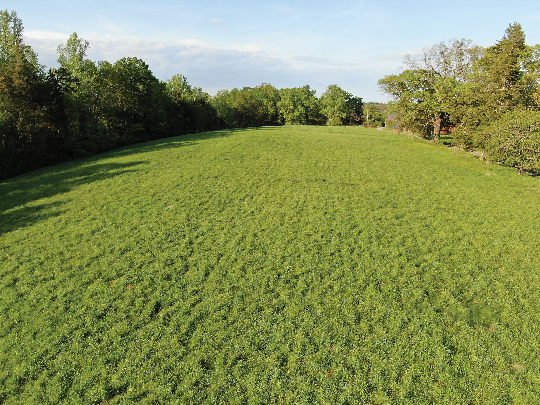 Nydrie Stud property picture 23 of 26