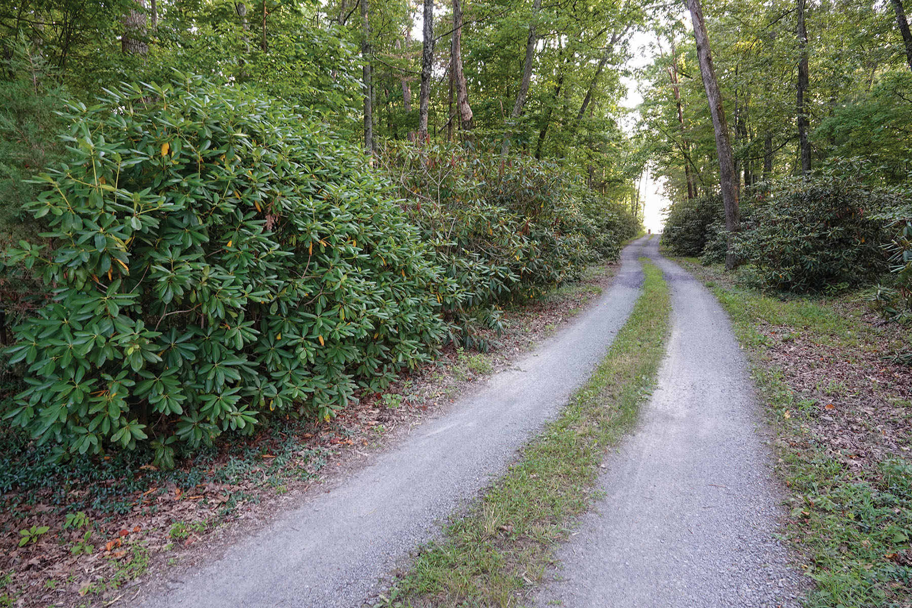 Nydrie Stud property picture 20 of 26