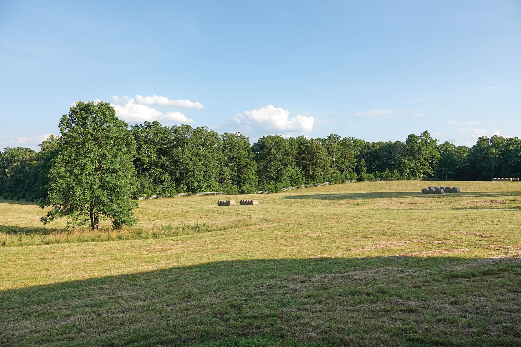 Nydrie Stud property picture 26 of 26