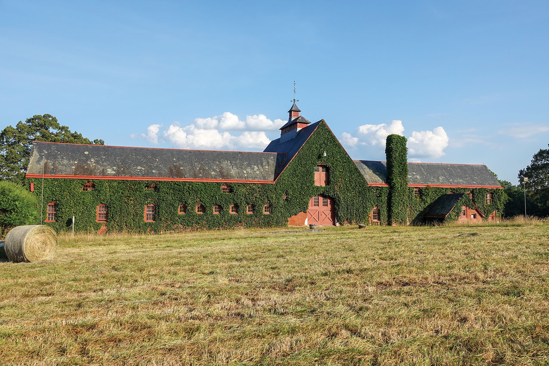 Nydrie Stud property picture 2 of 26