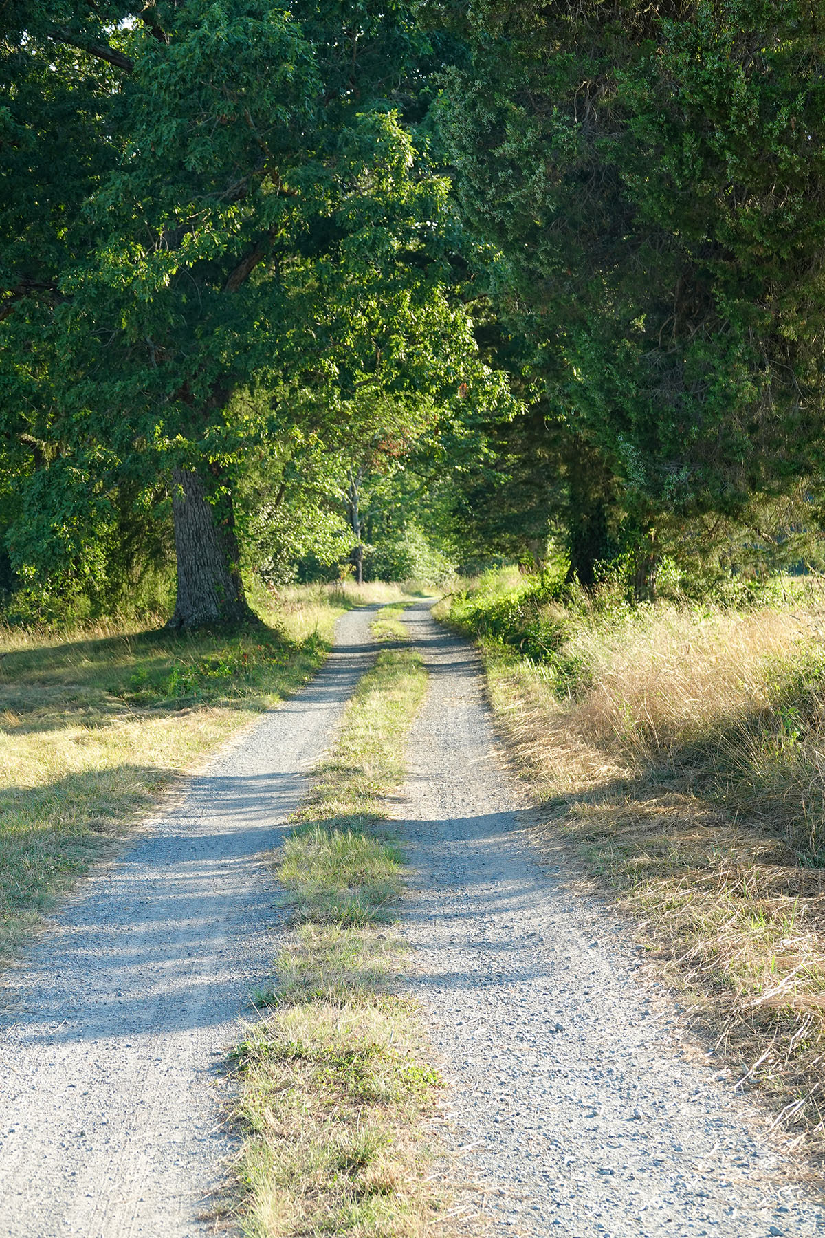 Nydrie Stud property picture 21 of 26