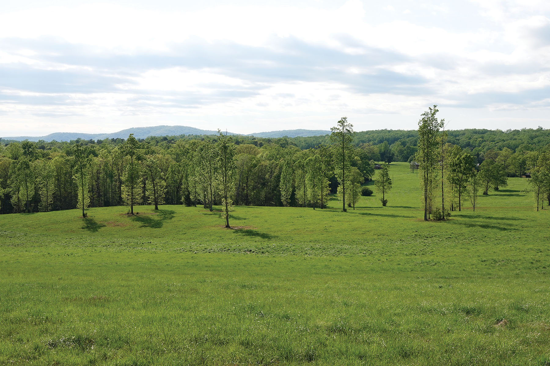 Nydrie Stud property picture 17 of 26