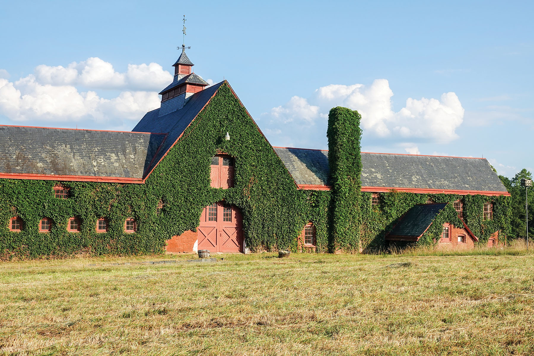 Nydrie Stud property picture 3 of 26