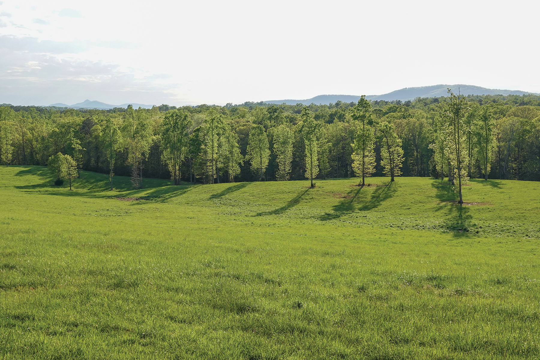 Nydrie Stud property picture 16 of 26