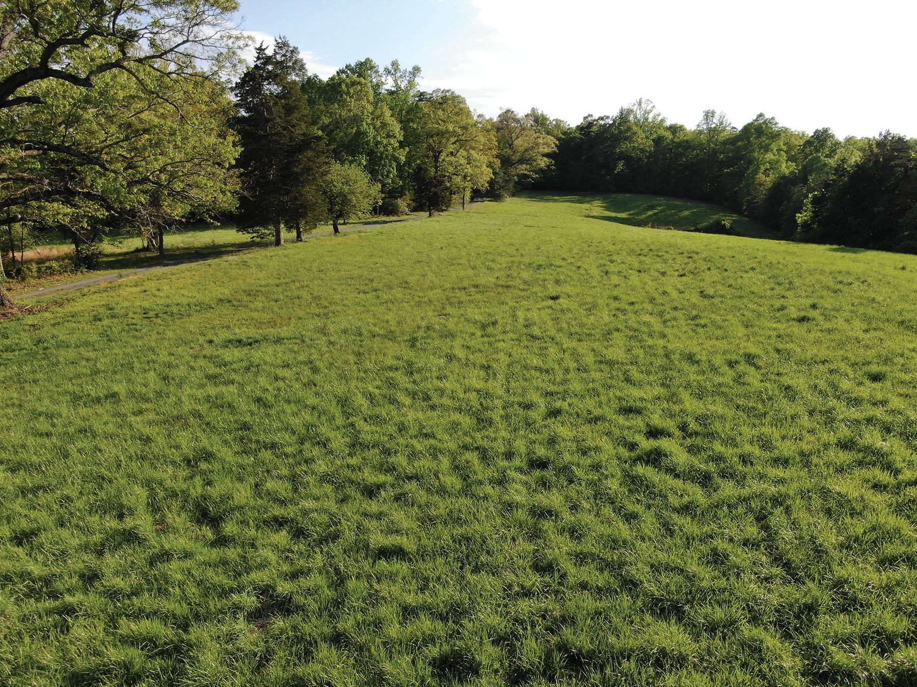 Nydrie Stud property picture 22 of 26