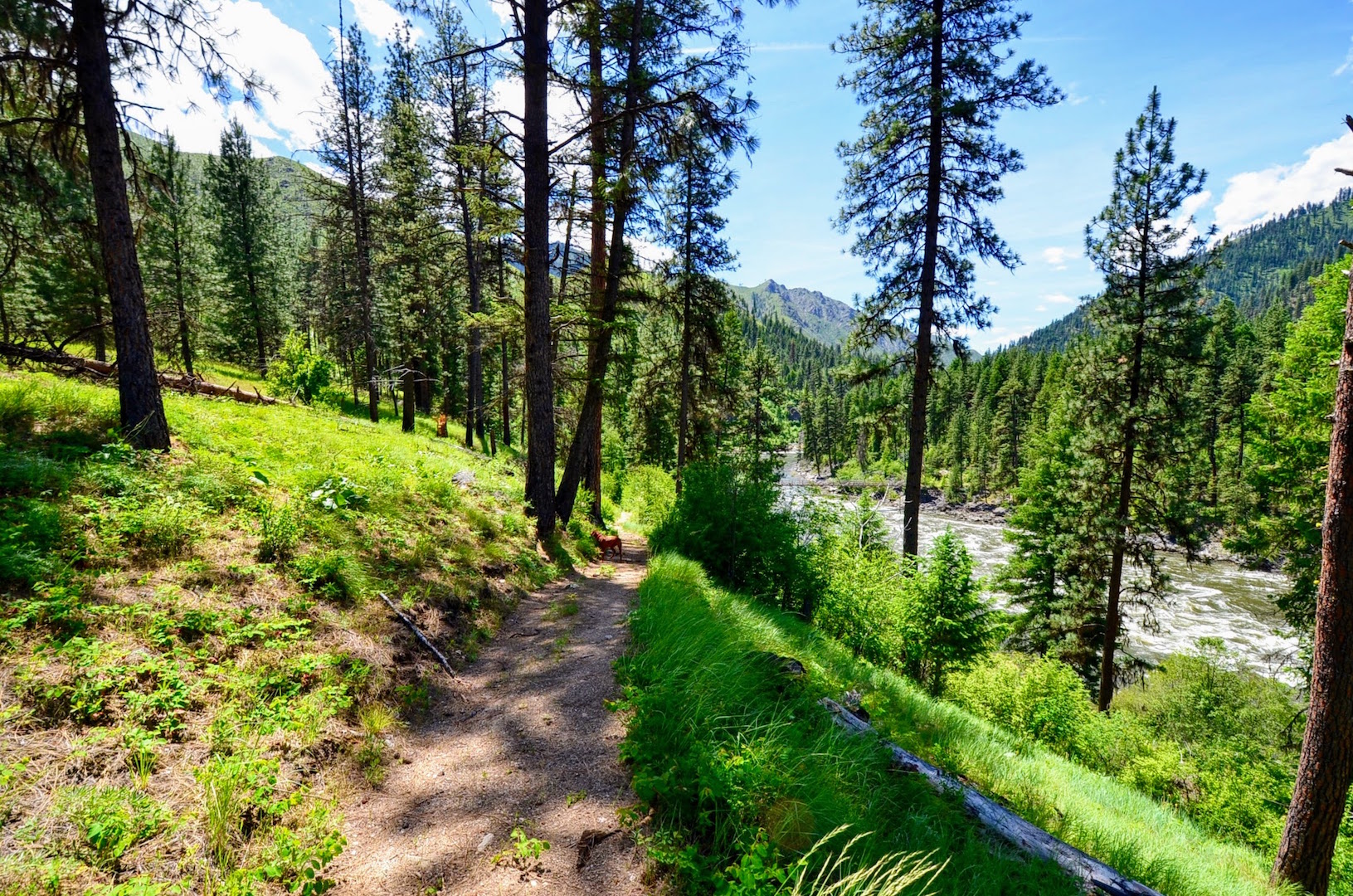 Campbell's Ferry Ranch property picture 59 of 78