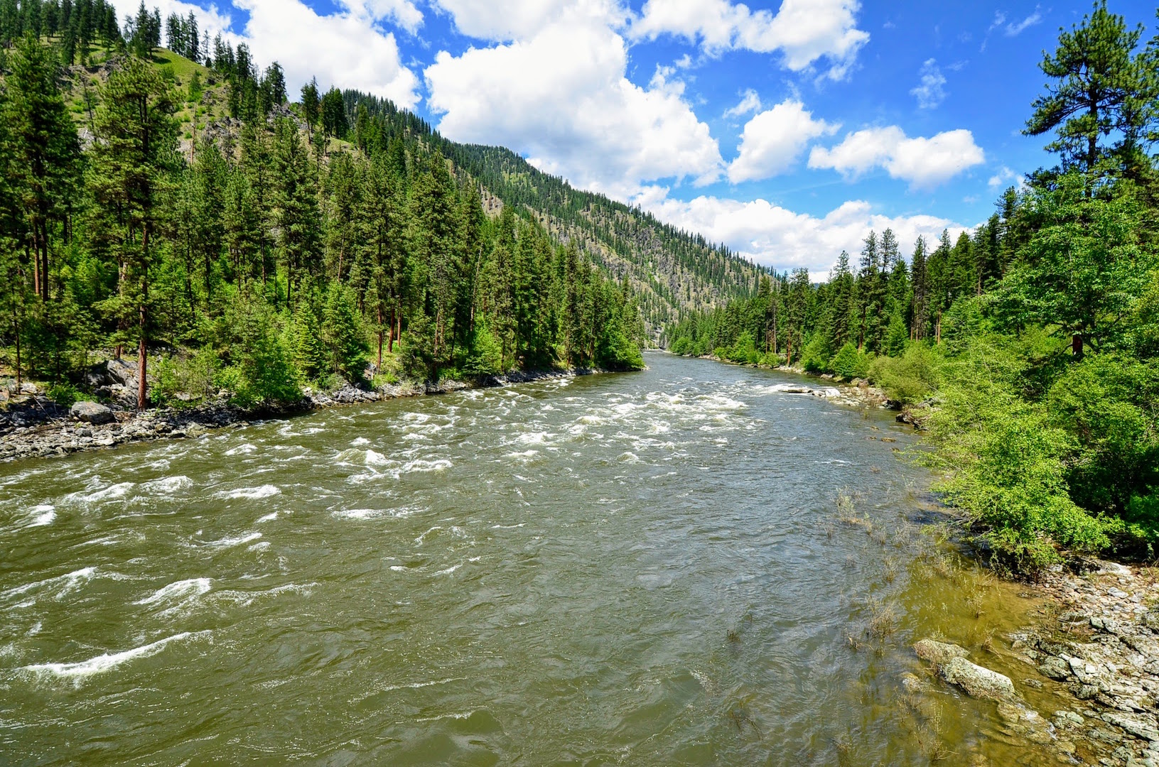 Campbell's Ferry Ranch property picture 57 of 78