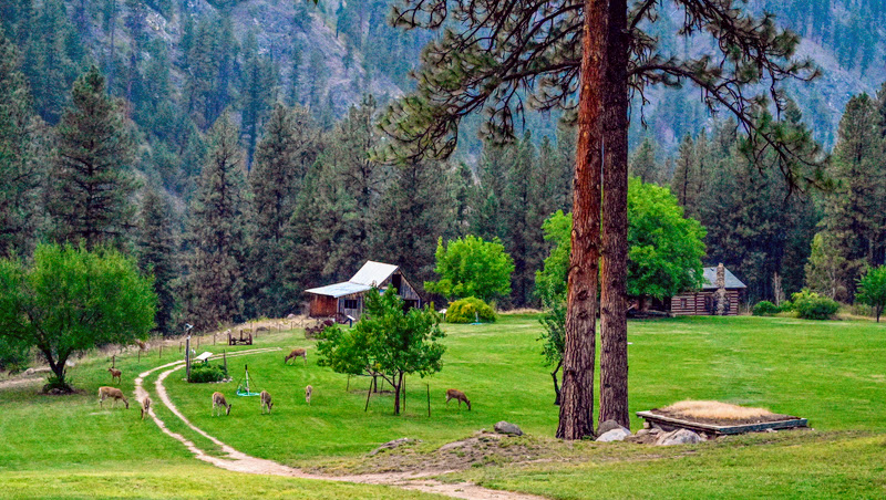 Campbell's Ferry Ranch property picture 6 of 78