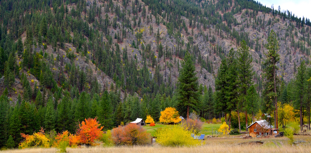 Campbell's Ferry Ranch property picture 41 of 78
