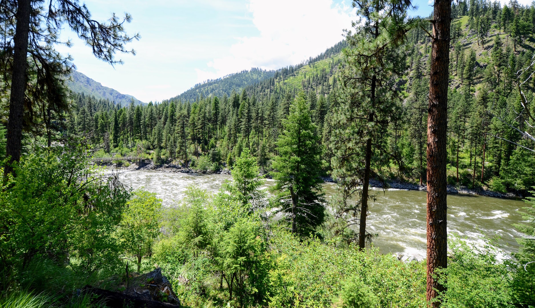 Campbell's Ferry Ranch property picture 52 of 78