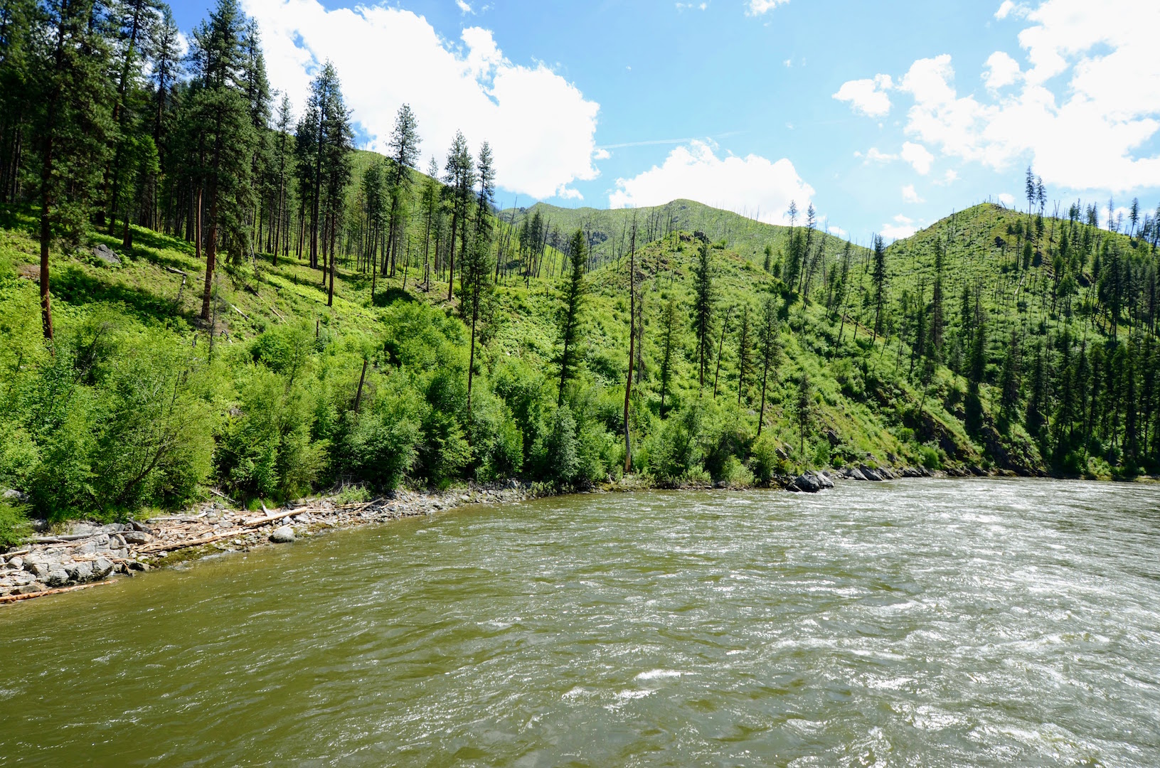 Campbell's Ferry Ranch property picture 54 of 78