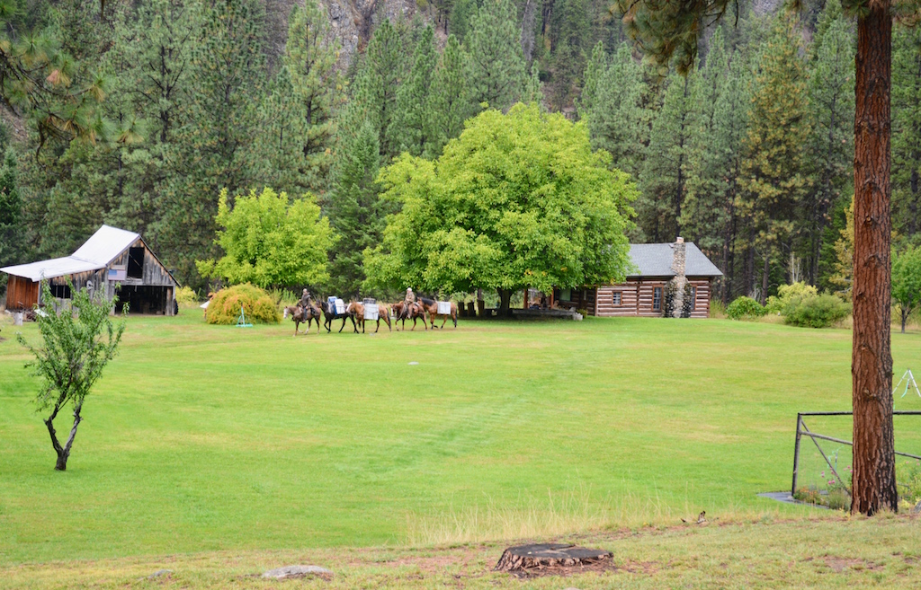 Campbell's Ferry Ranch property picture 39 of 78