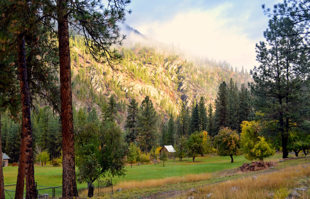 Campbell's Ferry Ranch property picture 42 of 78