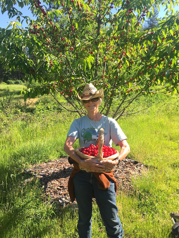 Campbell's Ferry Ranch property picture 25 of 78