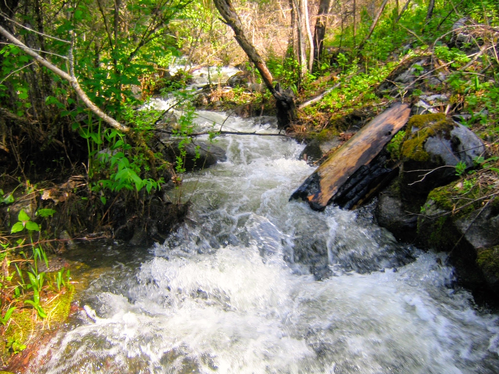 Campbell's Ferry Ranch property picture 30 of 78