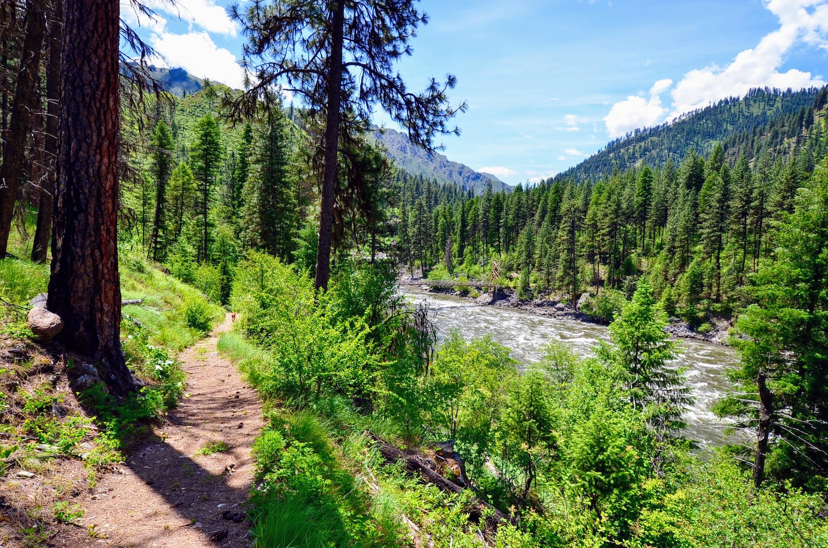 Campbell's Ferry Ranch property picture 51 of 78